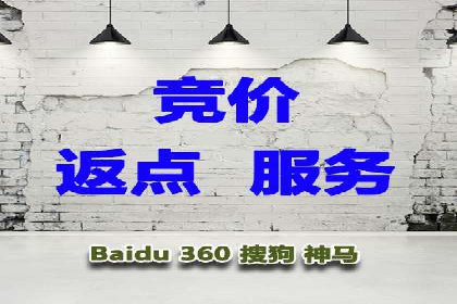 竞价SEM托管案例：精准营销的利器